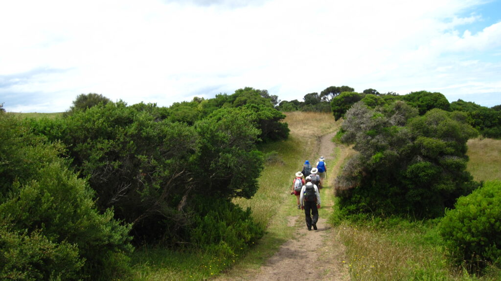 Bushrangers Bay Trail