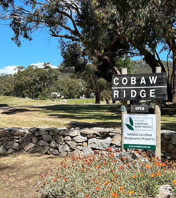 Cobaw Ridge